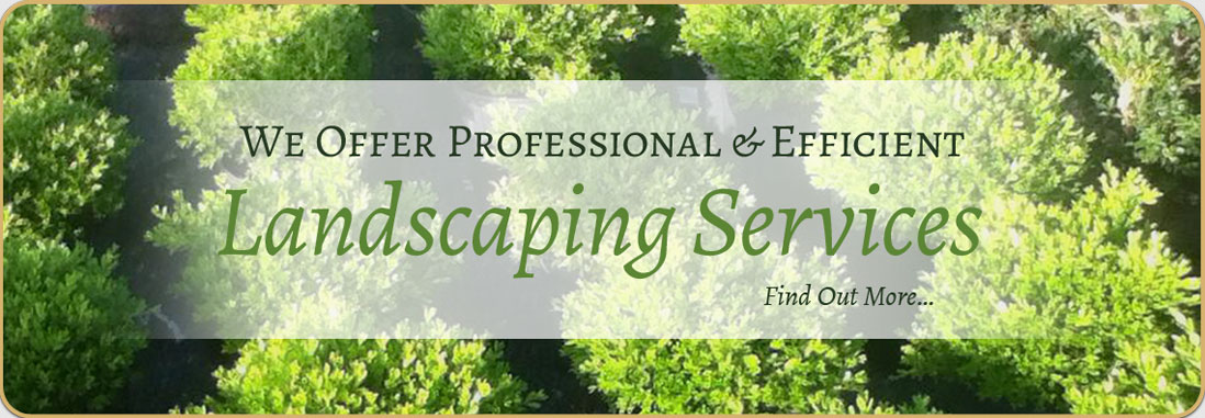 Services